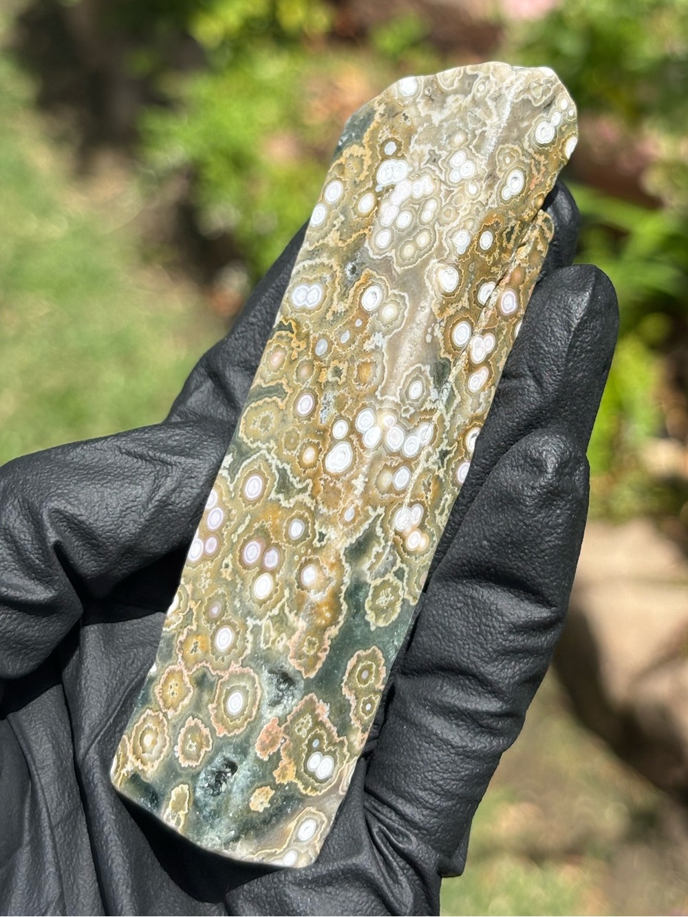 Ocean Jasper Crystal Slab - Orbicular Jasper - Druzy Sea Jasper